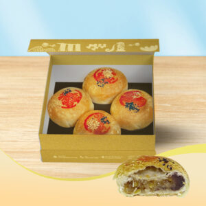 Teochew Shuang Ping Pastry Mooncake 传统潮州双拼月饼