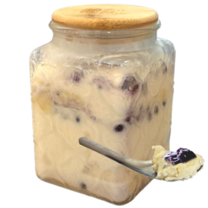 BLUEBERRY YOGURT ICE-CREAM